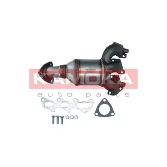 Catalyseur KAMOKA 8015077