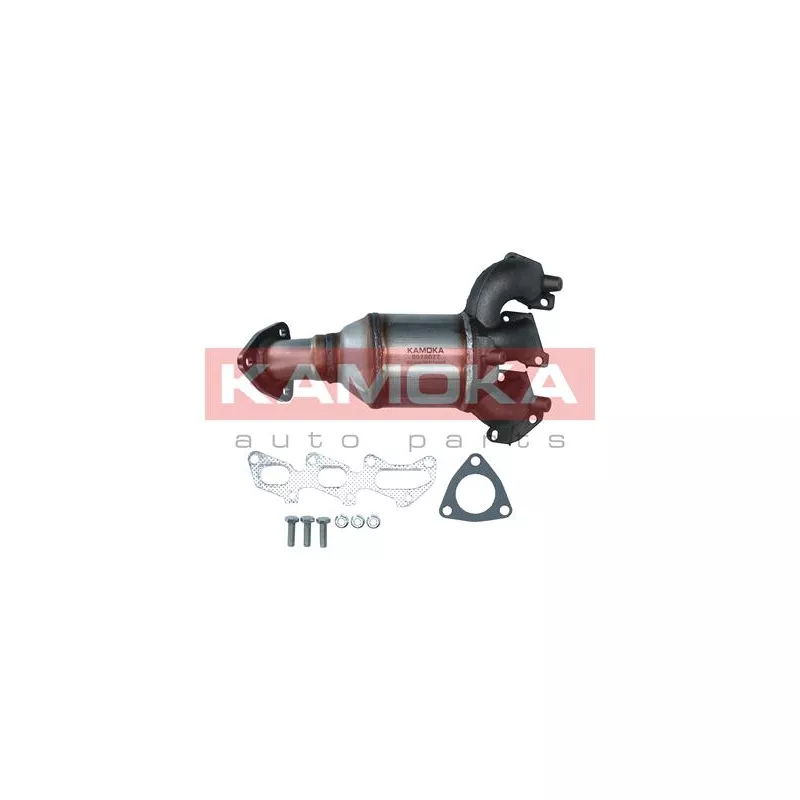 Catalyseur KAMOKA 8015077