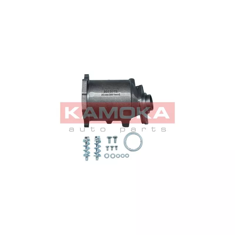 Catalyseur KAMOKA 8015079