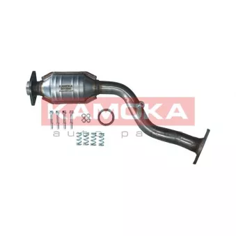 Catalyseur KAMOKA 8015080