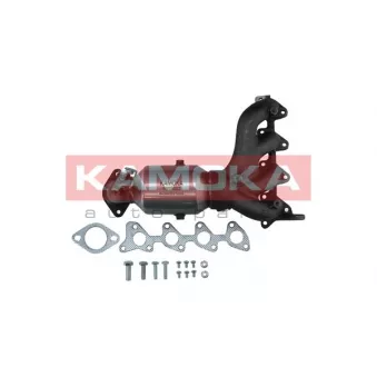 Catalyseur KAMOKA 8015082