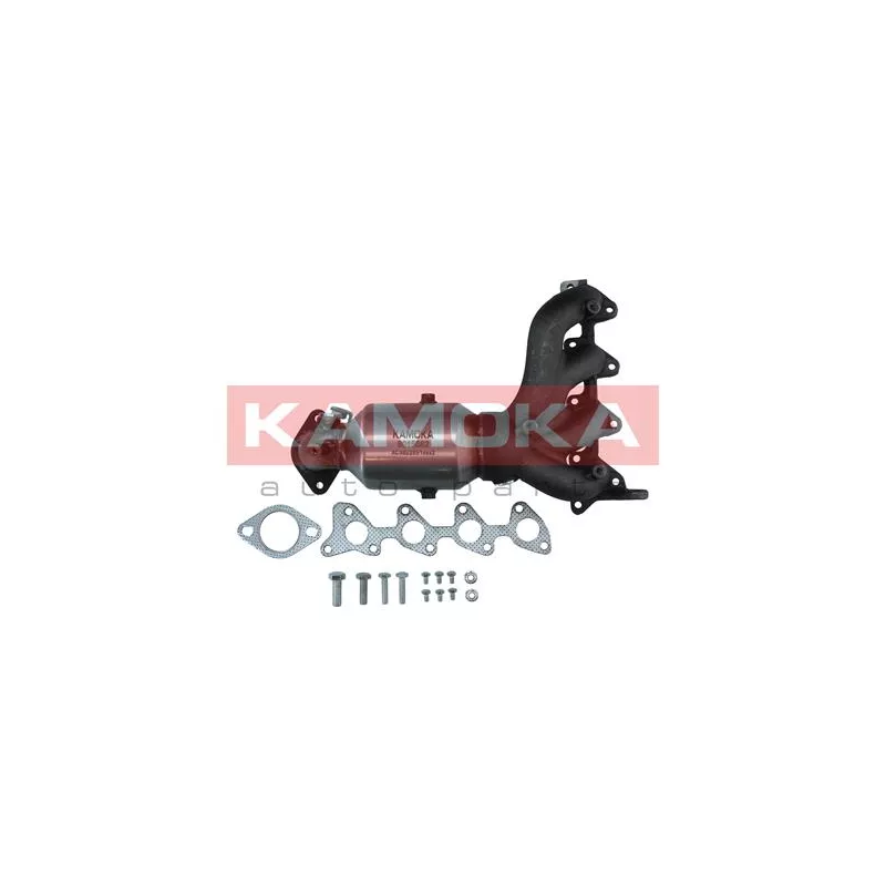 Catalyseur KAMOKA 8015082
