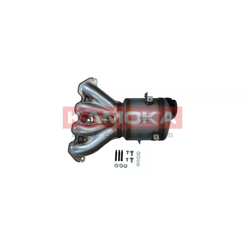 Catalyseur KAMOKA 8015084