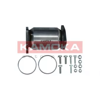 Catalyseur KAMOKA 8015085