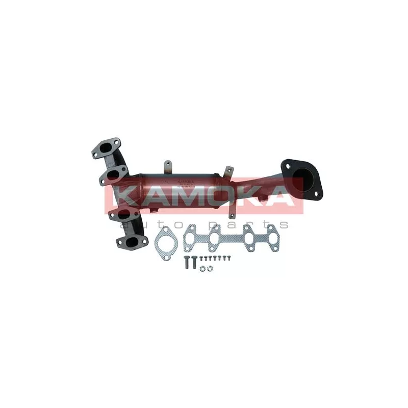 Catalyseur KAMOKA 8015089