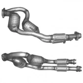 Catalyseur BM CATALYSTS BM80161H