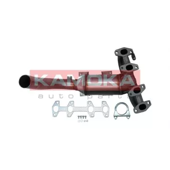 Catalyseur KAMOKA 8015090