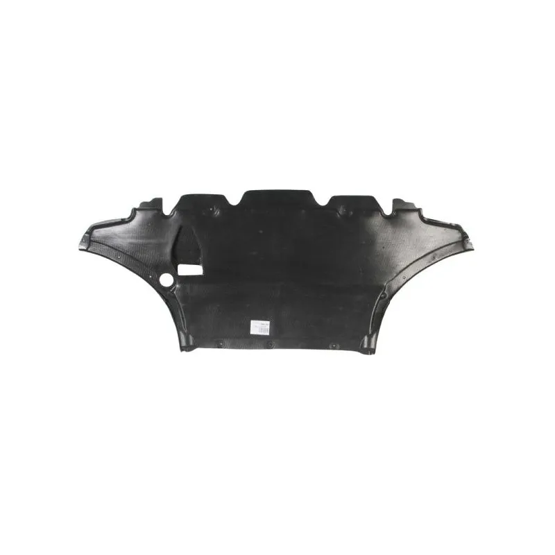 Cache moteur BLIC 6601-02-0029860P