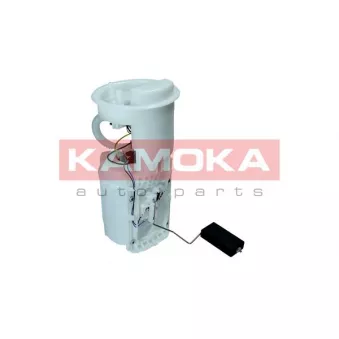 Unité d'injection de carburant KAMOKA 8400008