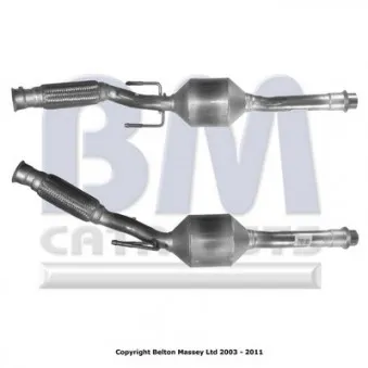 Catalyseur BM CATALYSTS
