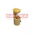 Unité d'injection de carburant KAMOKA 8400020 - Visuel 3