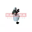 Unité d'injection de carburant KAMOKA 8400024 - Visuel 1