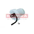Unité d'injection de carburant KAMOKA 8400026 - Visuel 1