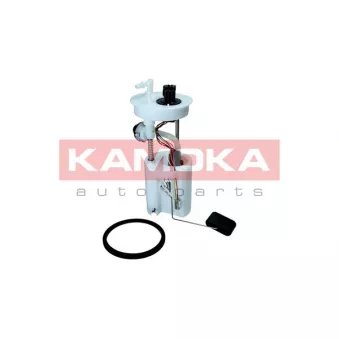 Unité d'injection de carburant KAMOKA 8400052
