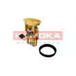 Unité d'injection de carburant KAMOKA 8400071 - Visuel 1