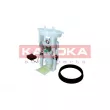 Unité d'injection de carburant KAMOKA 8400096 - Visuel 1