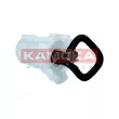 Unité d'injection de carburant KAMOKA 8400099 - Visuel 1