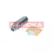 Pompe à carburant KAMOKA 8410005 - Visuel 1
