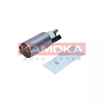 Pompe à carburant KAMOKA 8410013
