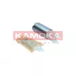 Pompe à carburant KAMOKA 8410026 - Visuel 2