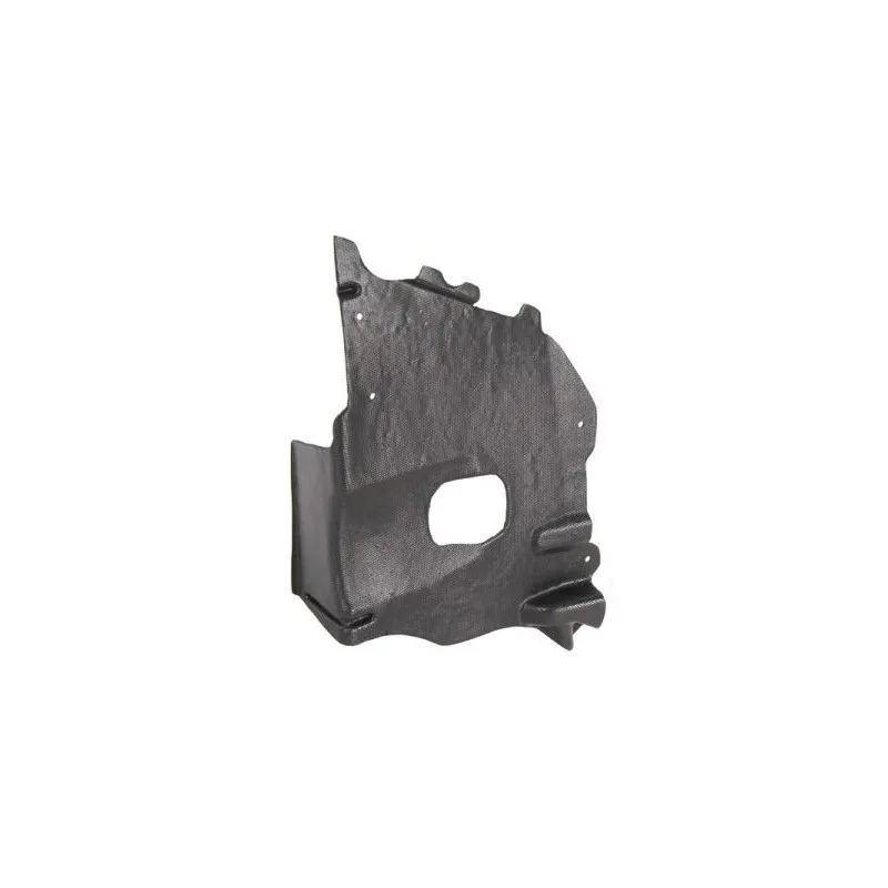 Cache moteur BLIC 6601-02-0550873P