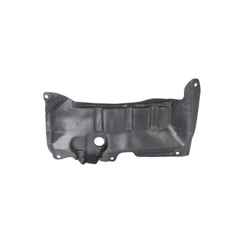 Cache moteur BLIC 6601-02-1668871P