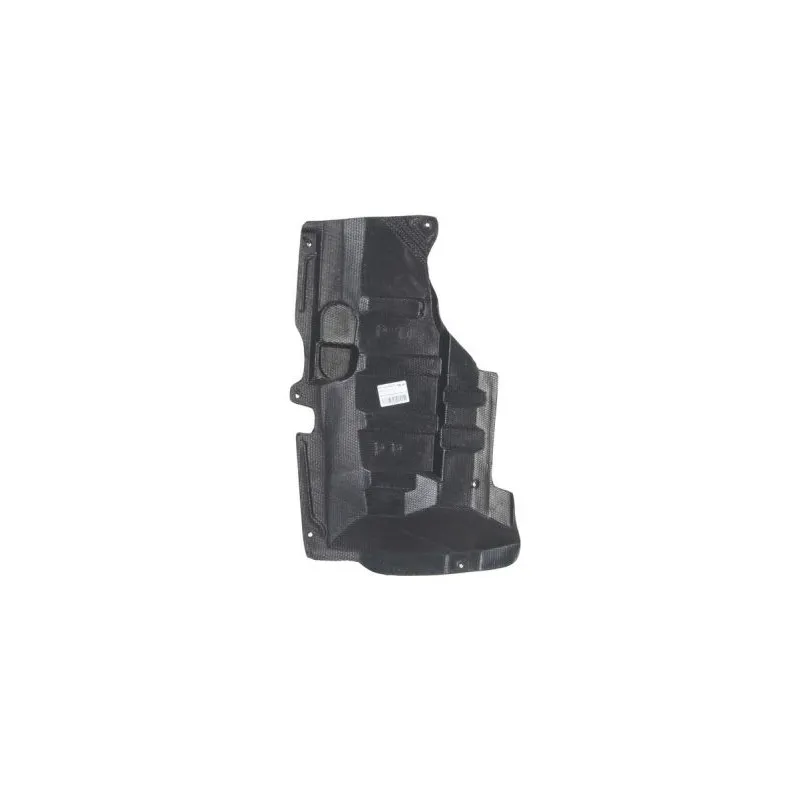 Cache moteur BLIC 6601-02-1668872P