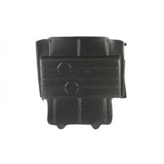 Cache moteur BLIC 6601-02-2509860P