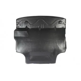 Cache moteur BLIC 6601-02-2530860P