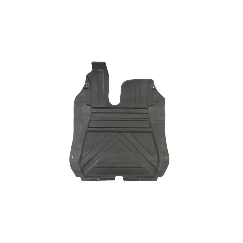 Cache moteur BLIC 6601-02-2555860P