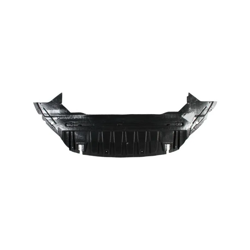 Cache moteur BLIC 6601-02-2556880P