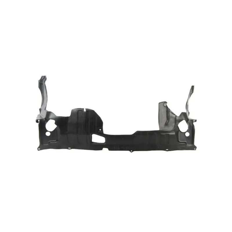 Cache moteur BLIC 6601-02-2938860P