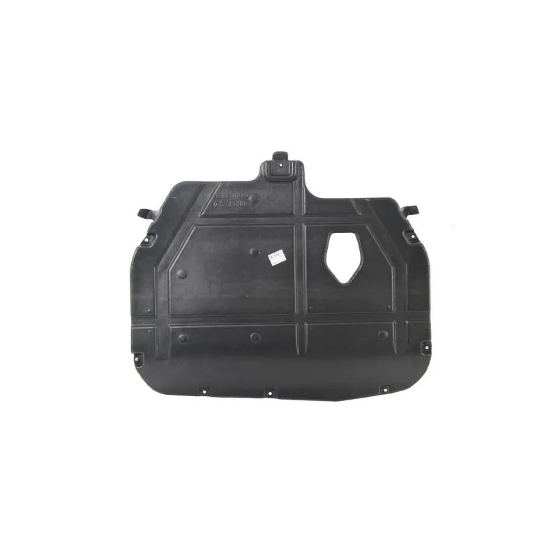 Cache moteur BLIC 6601-02-3267860P