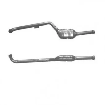Catalyseur BM CATALYSTS BM80189H