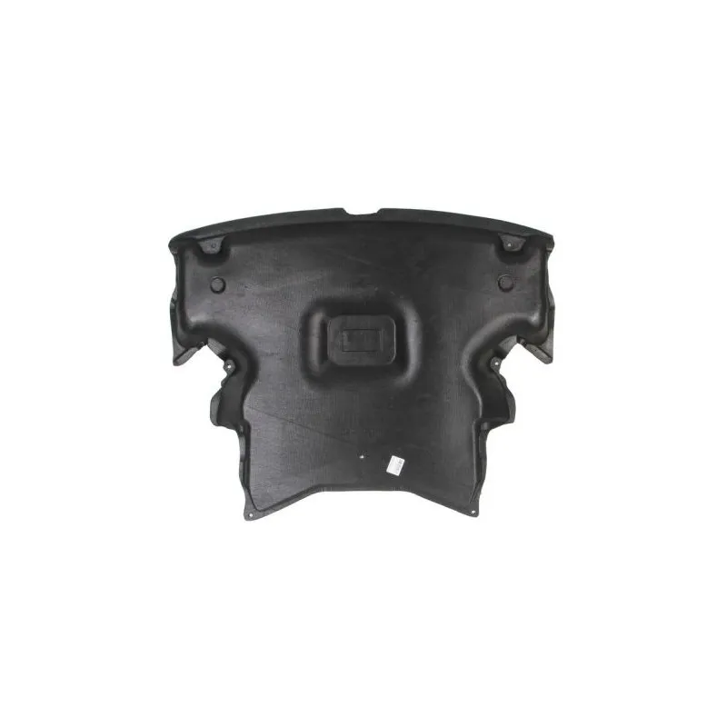 Cache moteur BLIC 6601-02-3515860P