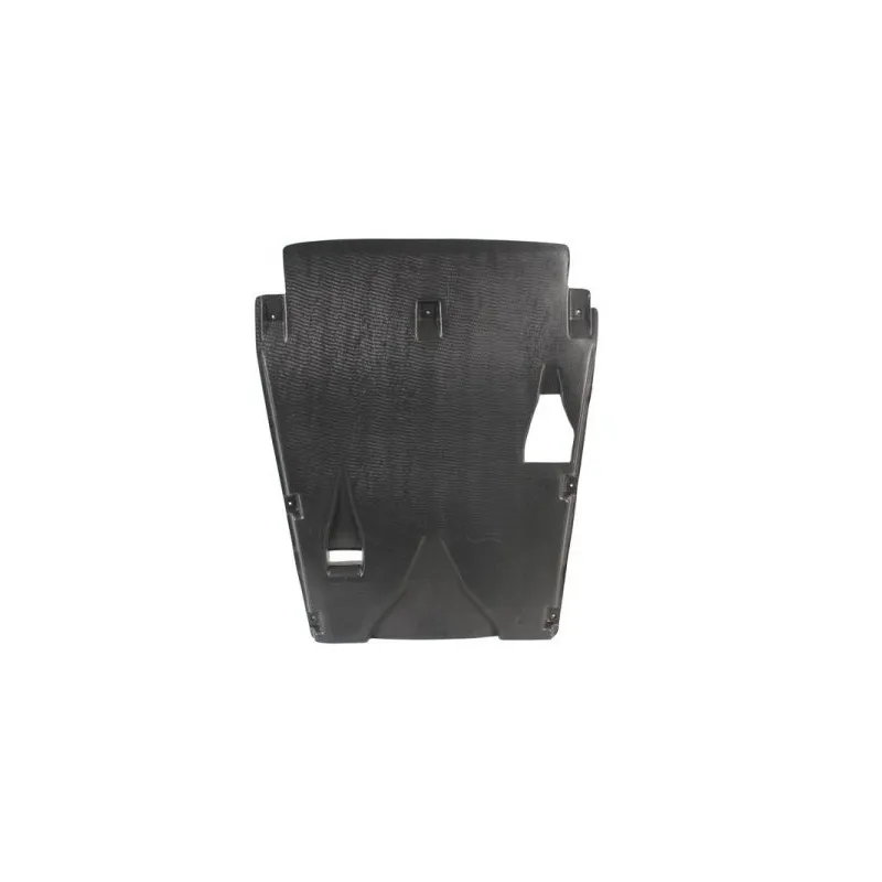 Cache moteur BLIC 6601-02-3541861P
