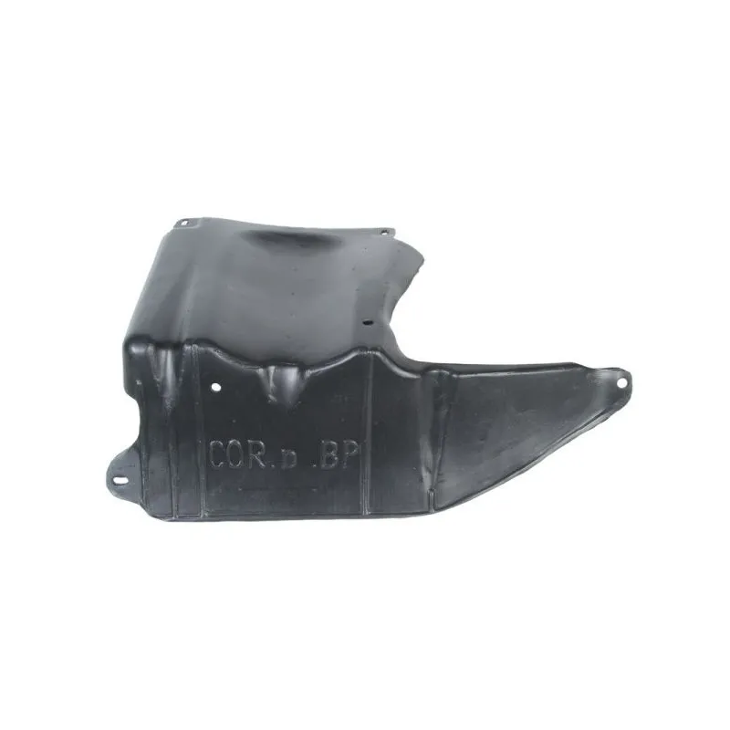 Cache moteur BLIC 6601-02-5024890P