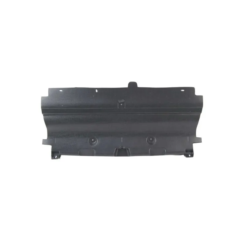 Cache moteur BLIC 6601-02-5537880P