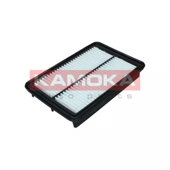 Filtre à air KAMOKA F246301