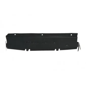 Cache moteur BLIC 6601-02-6010880P