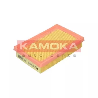 Filtre à air KAMOKA F250201