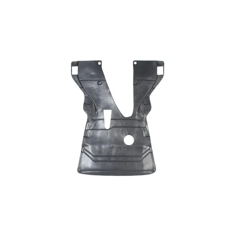 Cache moteur BLIC 6601-02-6037860P