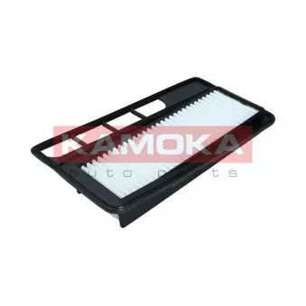 Filtre à air KAMOKA F253701