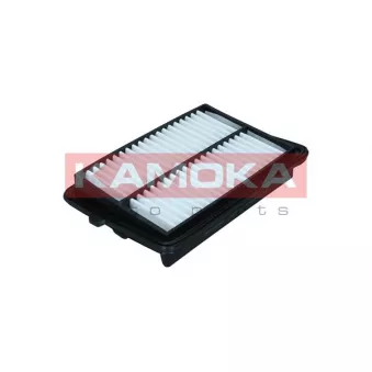 Filtre à air KAMOKA F258701