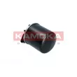 Filtre à carburant KAMOKA F322201 - Visuel 3