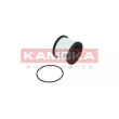 Filtre à carburant KAMOKA F325201 - Visuel 2