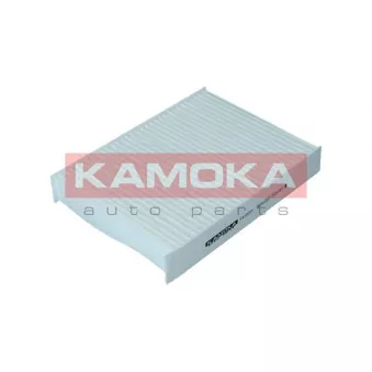 Filtre, air de l'habitacle KAMOKA F419201