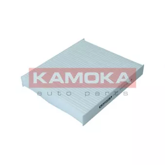Filtre, air de l'habitacle KAMOKA F420701