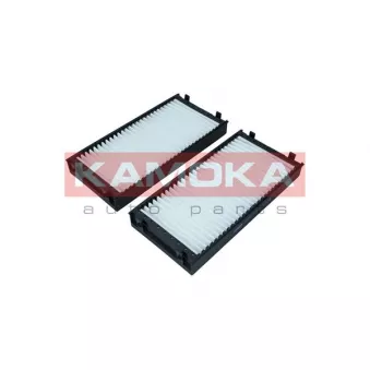 Filtre, air de l'habitacle KAMOKA F421101