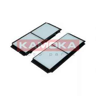 Filtre, air de l'habitacle KAMOKA F421201
